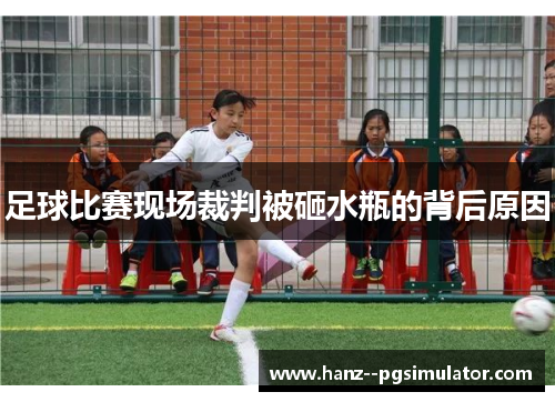 足球比赛现场裁判被砸水瓶的背后原因 足球比赛现场裁判被砸水瓶的背后原因