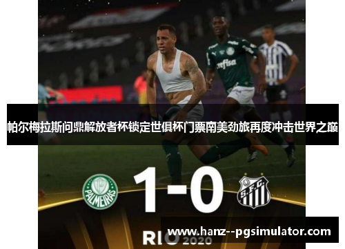 帕尔梅拉斯问鼎解放者杯锁定世俱杯门票南美劲旅再度冲击世界之巅